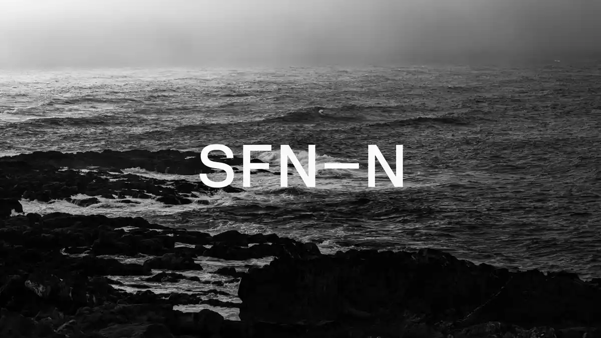 SFN–N
